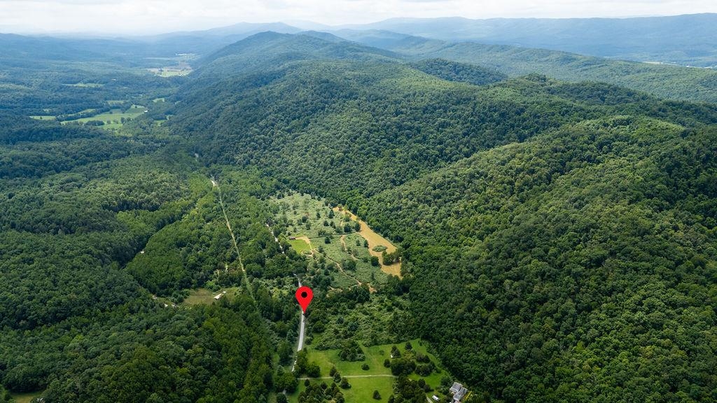 TBD COWPASTURE RIVER RD S, WILLIAMSVILLE, Virginia 24487, ,Land,TBD COWPASTURE RIVER RD S,667841 MLS # 667841