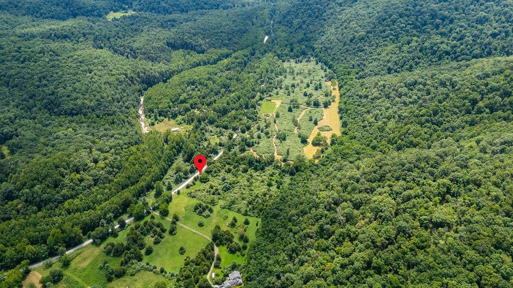 TBD COWPASTURE RIVER RD S, WILLIAMSVILLE, Virginia 24487, ,Land,TBD COWPASTURE RIVER RD S,667841 MLS # 667841