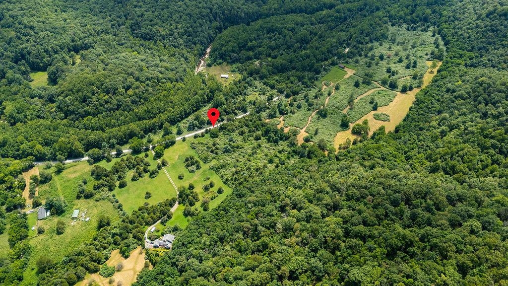 TBD COWPASTURE RIVER RD S, WILLIAMSVILLE, Virginia 24487, ,Land,TBD COWPASTURE RIVER RD S,667841 MLS # 667841