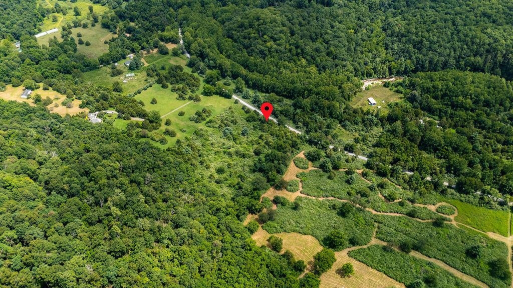 TBD COWPASTURE RIVER RD S, WILLIAMSVILLE, Virginia 24487, ,Land,TBD COWPASTURE RIVER RD S,667841 MLS # 667841