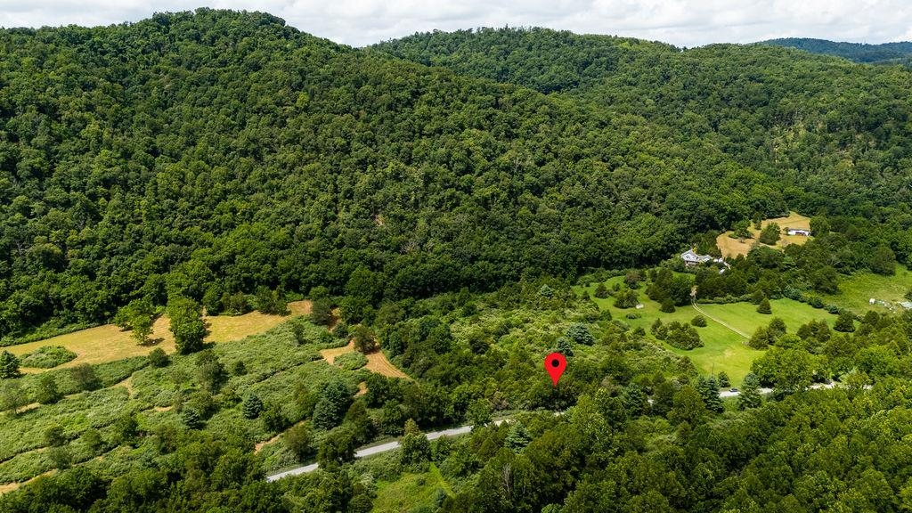 TBD COWPASTURE RIVER RD S, WILLIAMSVILLE, Virginia 24487, ,Land,TBD COWPASTURE RIVER RD S,667841 MLS # 667841