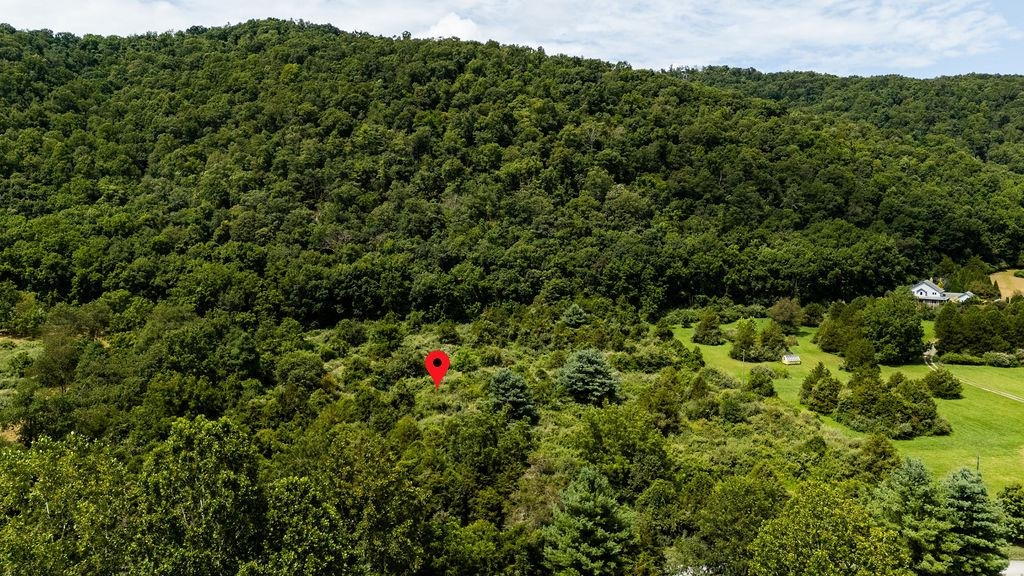 TBD COWPASTURE RIVER RD S, WILLIAMSVILLE, Virginia 24487, ,Land,TBD COWPASTURE RIVER RD S,667841 MLS # 667841