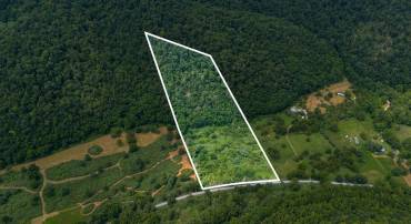 TBD COWPASTURE RIVER RD S, WILLIAMSVILLE, Virginia 24487, ,Land,TBD COWPASTURE RIVER RD S,667841 MLS # 667841