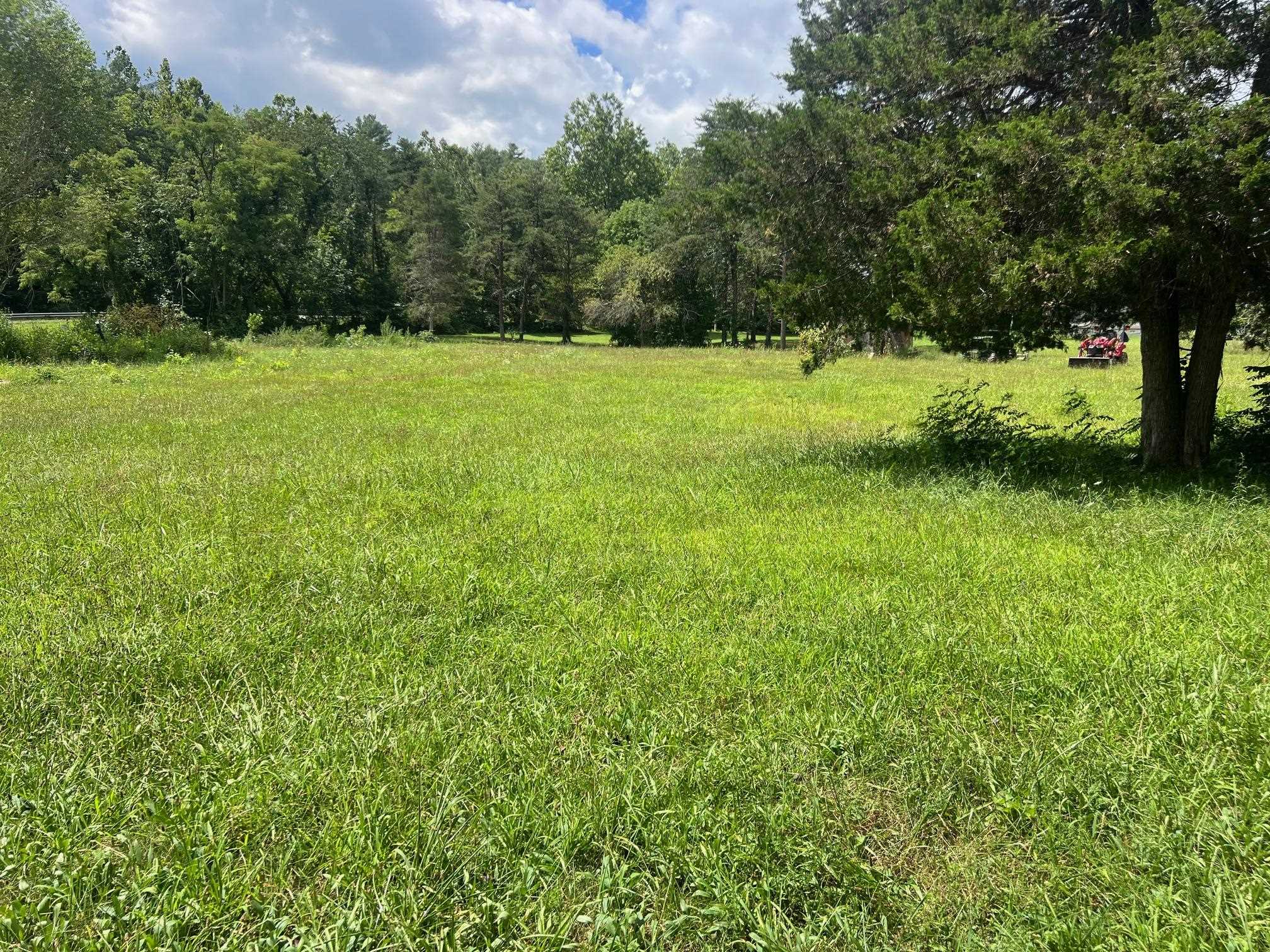 2557 HANKEY MOUNTAIN HWY, CHURCHVILLE, Virginia 24421, ,Land,2557 HANKEY MOUNTAIN HWY,667861 MLS # 667861