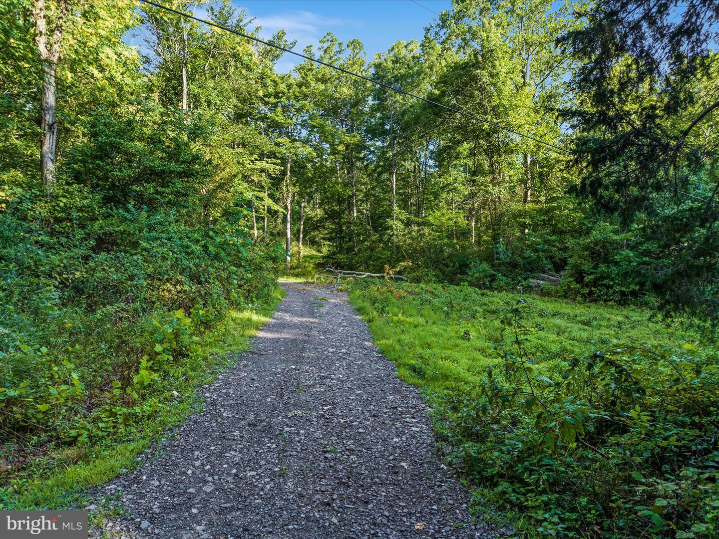 0 GOONEY MANOR LOOP, BENTONVILLE, Virginia 22610, ,Land,For sale,0 GOONEY MANOR LOOP,VAWR2011970 MLS # VAWR2011970