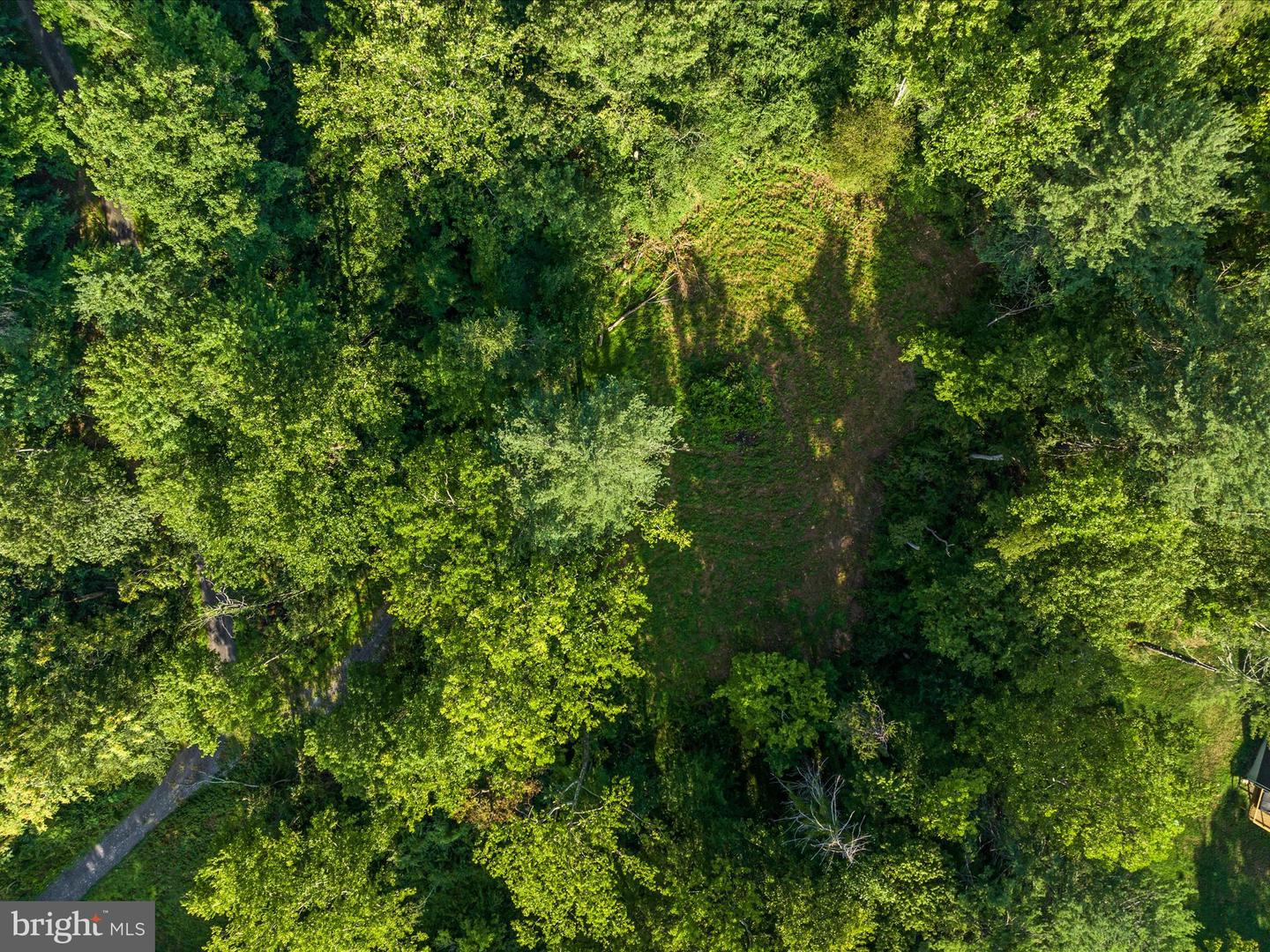 0 GOONEY MANOR LOOP, BENTONVILLE, Virginia 22610, ,Land,For sale,0 GOONEY MANOR LOOP,VAWR2011970 MLS # VAWR2011970