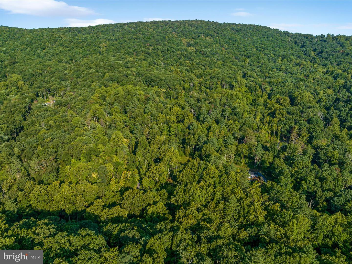 0 GOONEY MANOR LOOP, BENTONVILLE, Virginia 22610, ,Land,For sale,0 GOONEY MANOR LOOP,VAWR2011970 MLS # VAWR2011970