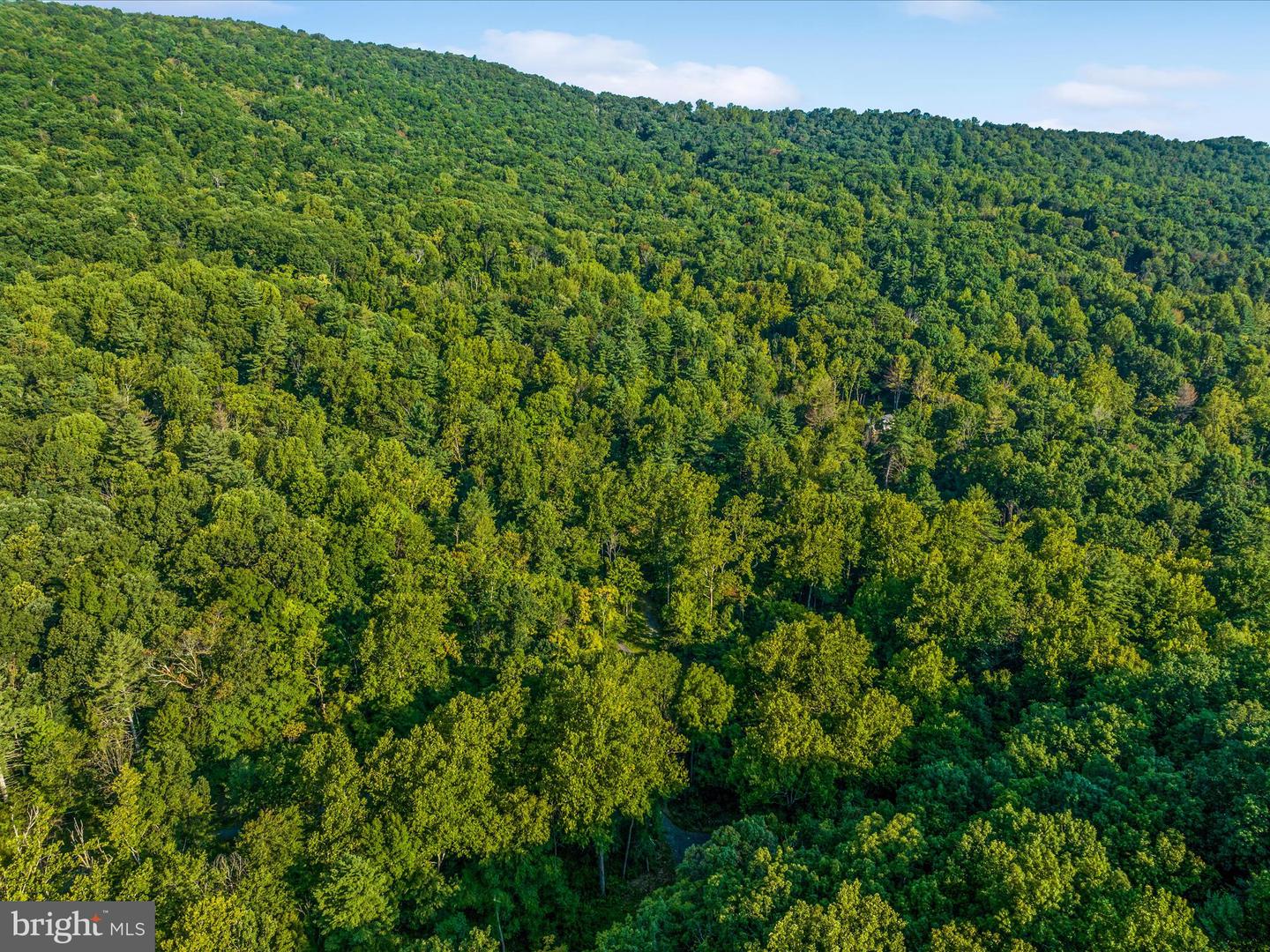 0 GOONEY MANOR LOOP, BENTONVILLE, Virginia 22610, ,Land,For sale,0 GOONEY MANOR LOOP,VAWR2011970 MLS # VAWR2011970