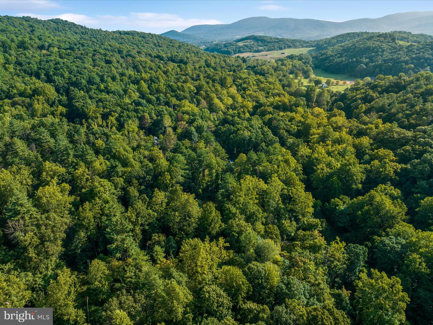 0 GOONEY MANOR LOOP, BENTONVILLE, Virginia 22610, ,Land,For sale,0 GOONEY MANOR LOOP,VAWR2011970 MLS # VAWR2011970