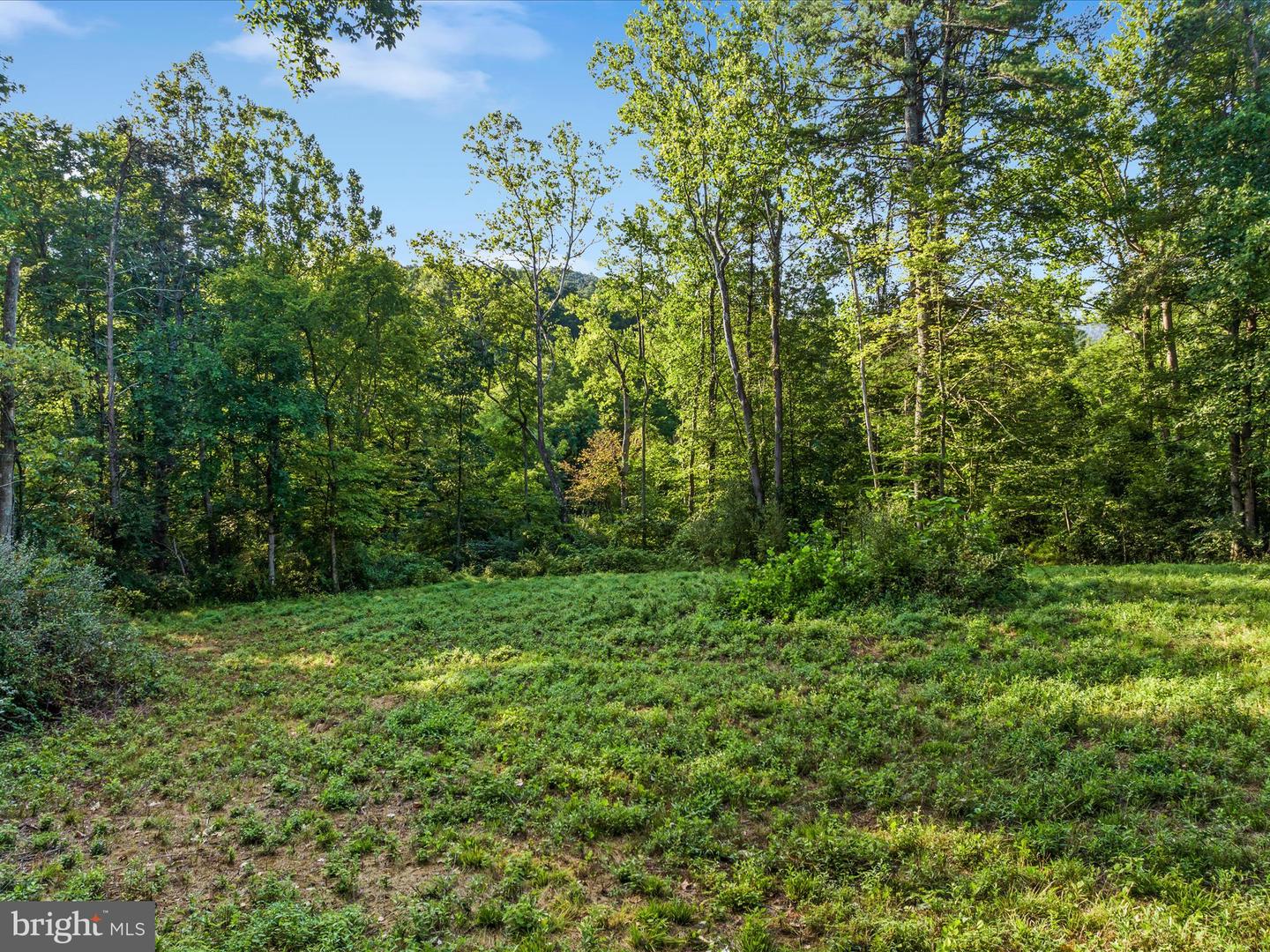 0 GOONEY MANOR LOOP, BENTONVILLE, Virginia 22610, ,Land,For sale,0 GOONEY MANOR LOOP,VAWR2011970 MLS # VAWR2011970