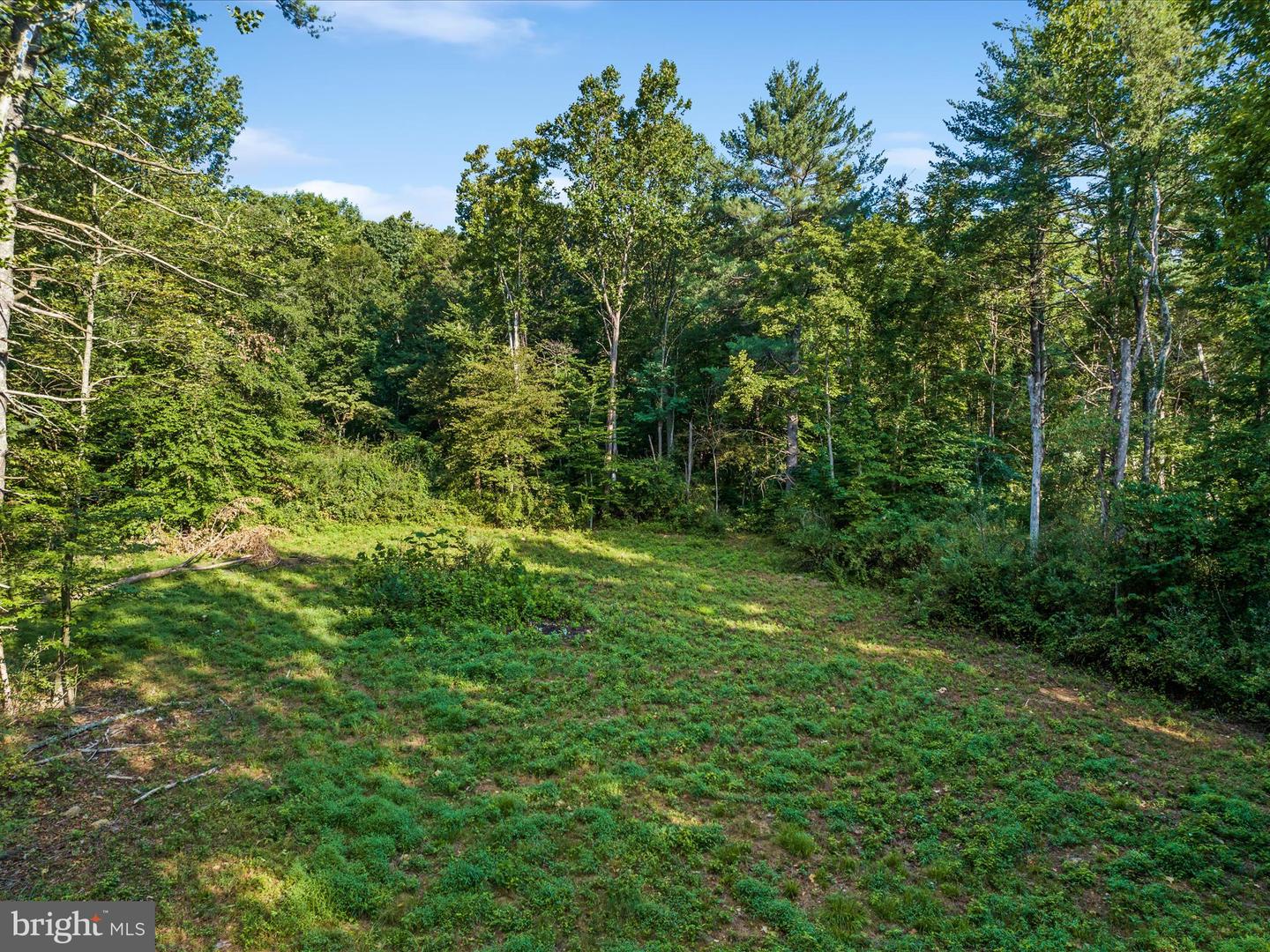 0 GOONEY MANOR LOOP, BENTONVILLE, Virginia 22610, ,Land,For sale,0 GOONEY MANOR LOOP,VAWR2011970 MLS # VAWR2011970