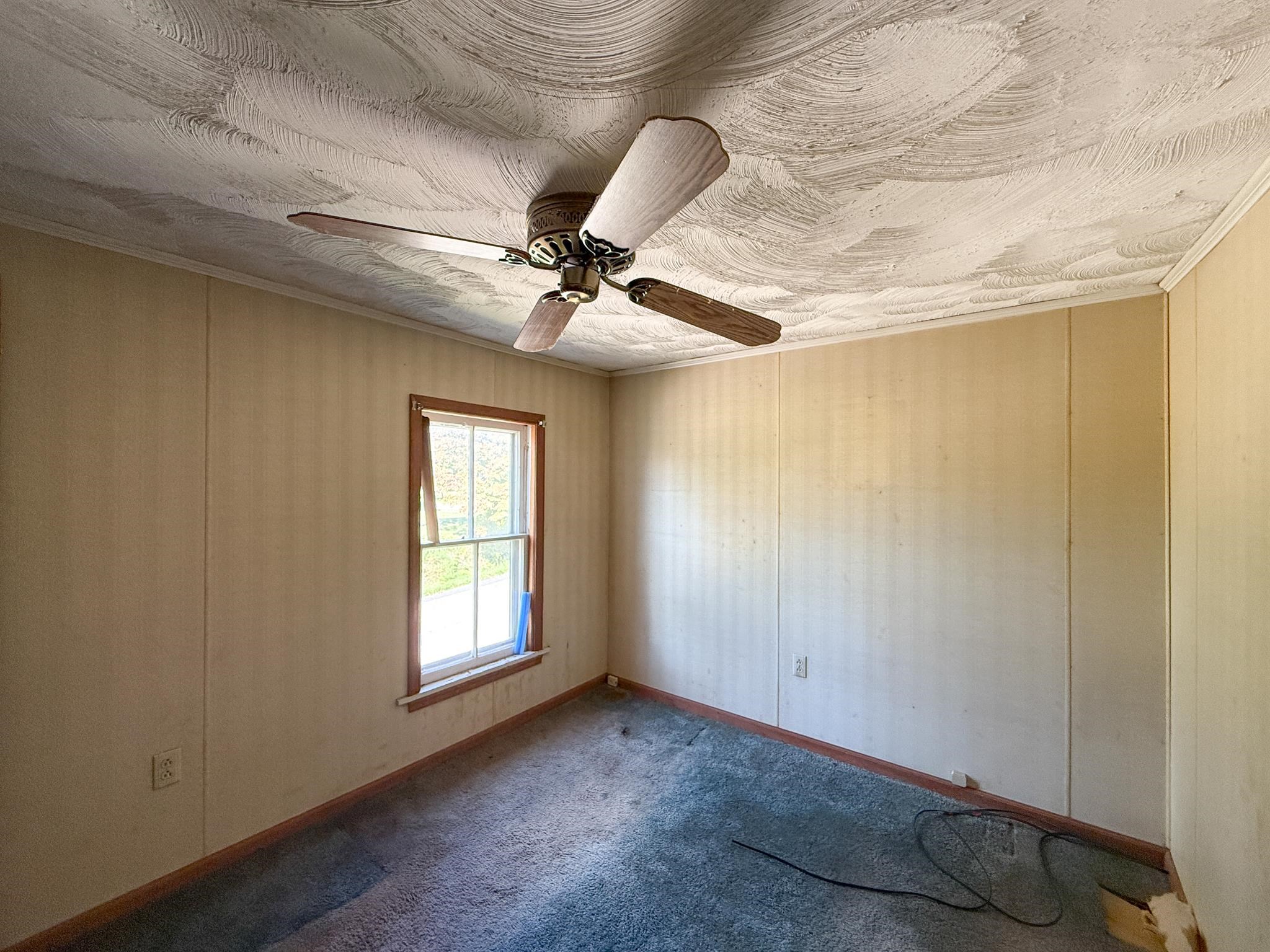2163 RAPHINE RD, RAPHINE, Virginia 24472, 3 Bedrooms Bedrooms, ,1 BathroomBathrooms,Residential,2163 RAPHINE RD,667866 MLS # 667866