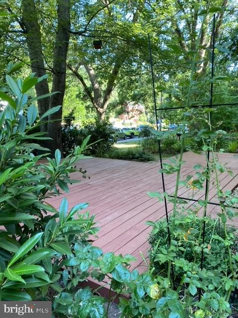 3325 VALLEY DR, ALEXANDRIA, Virginia 22302, 2 Bedrooms Bedrooms, ,1 BathroomBathrooms,Residential,For sale,3325 VALLEY DR,VAAX2048080 MLS # VAAX2048080
