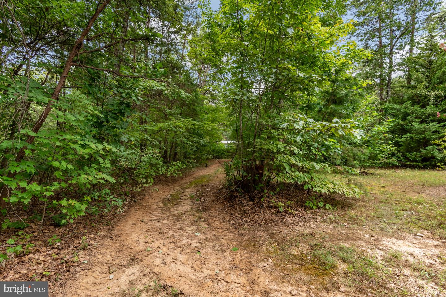 2876 DOCTORS RD, LOUISA, Virginia 23093, 3 Bedrooms Bedrooms, 5 Rooms Rooms,2 BathroomsBathrooms,Residential,For sale,2876 DOCTORS RD,VALA2008398 MLS # VALA2008398