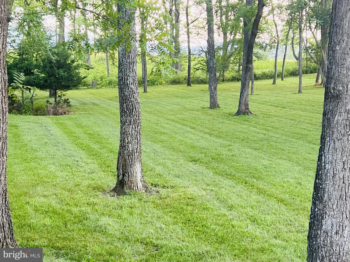 710 BOYDS MILL LN, BENTONVILLE, Virginia 22610, 4 Bedrooms Bedrooms, ,4 BathroomsBathrooms,Residential,For sale,710 BOYDS MILL LN,VAWR2011940 MLS # VAWR2011940