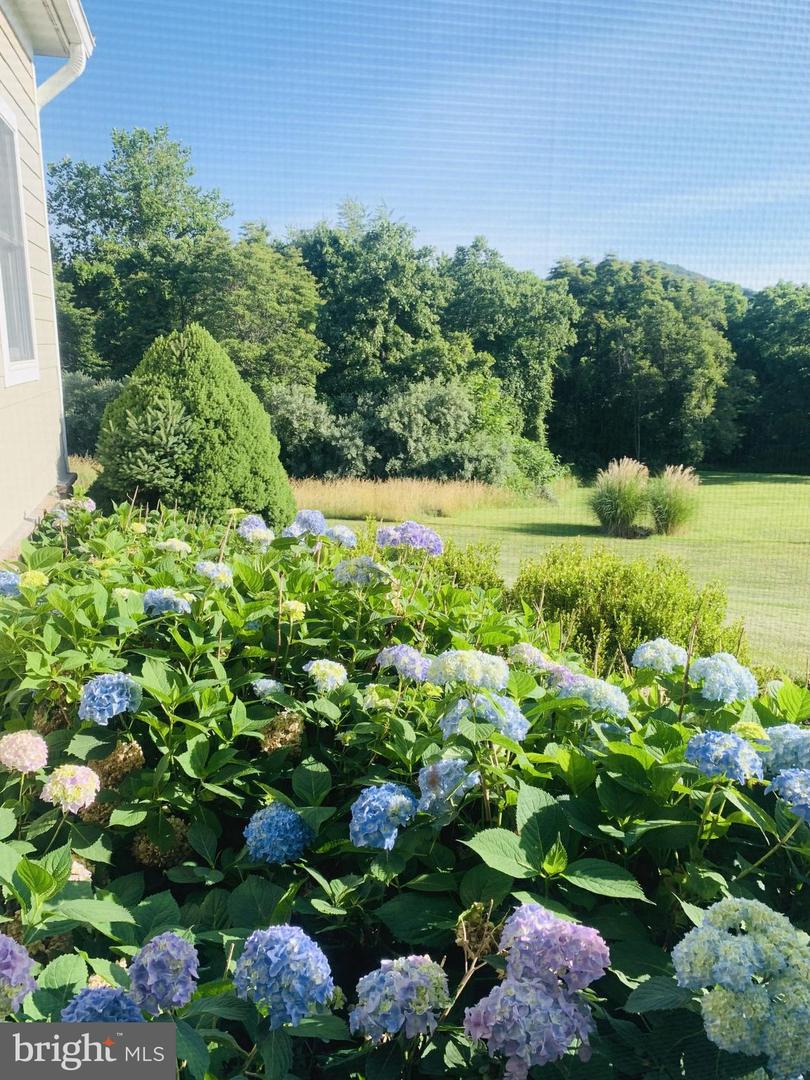 710 BOYDS MILL LN, BENTONVILLE, Virginia 22610, 4 Bedrooms Bedrooms, ,4 BathroomsBathrooms,Residential,For sale,710 BOYDS MILL LN,VAWR2011940 MLS # VAWR2011940