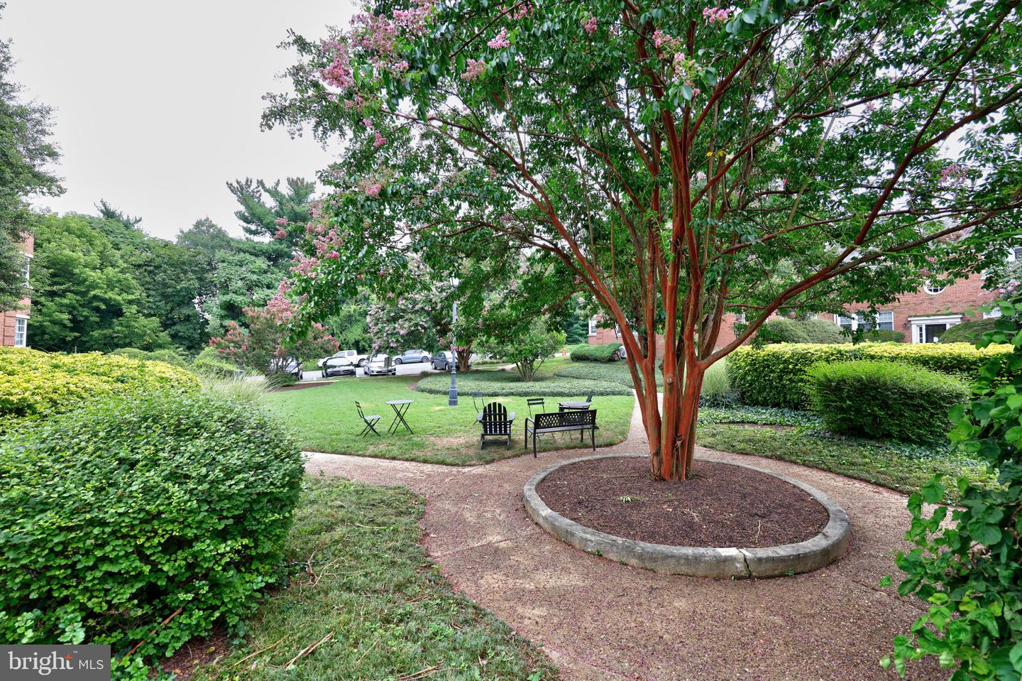 1814 W ABINGDON DR #201, ALEXANDRIA, Virginia 22314, 1 Bedroom Bedrooms, ,1 BathroomBathrooms,Residential,For sale,1814 W ABINGDON DR #201,VAAX2048554 MLS # VAAX2048554