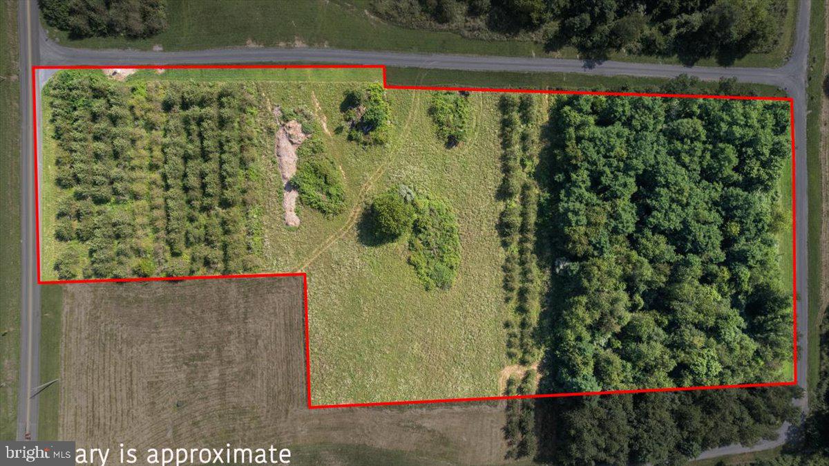 LOT 3 CEDAR CREEK GRADE, WINCHESTER, Virginia 22602, ,Land,For sale,LOT 3 CEDAR CREEK GRADE,VAFV2035684 MLS # VAFV2035684