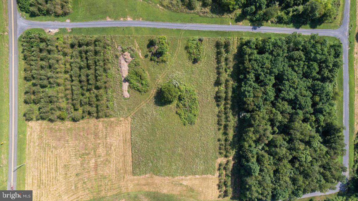LOT 3 CEDAR CREEK GRADE, WINCHESTER, Virginia 22602, ,Land,For sale,LOT 3 CEDAR CREEK GRADE,VAFV2035684 MLS # VAFV2035684