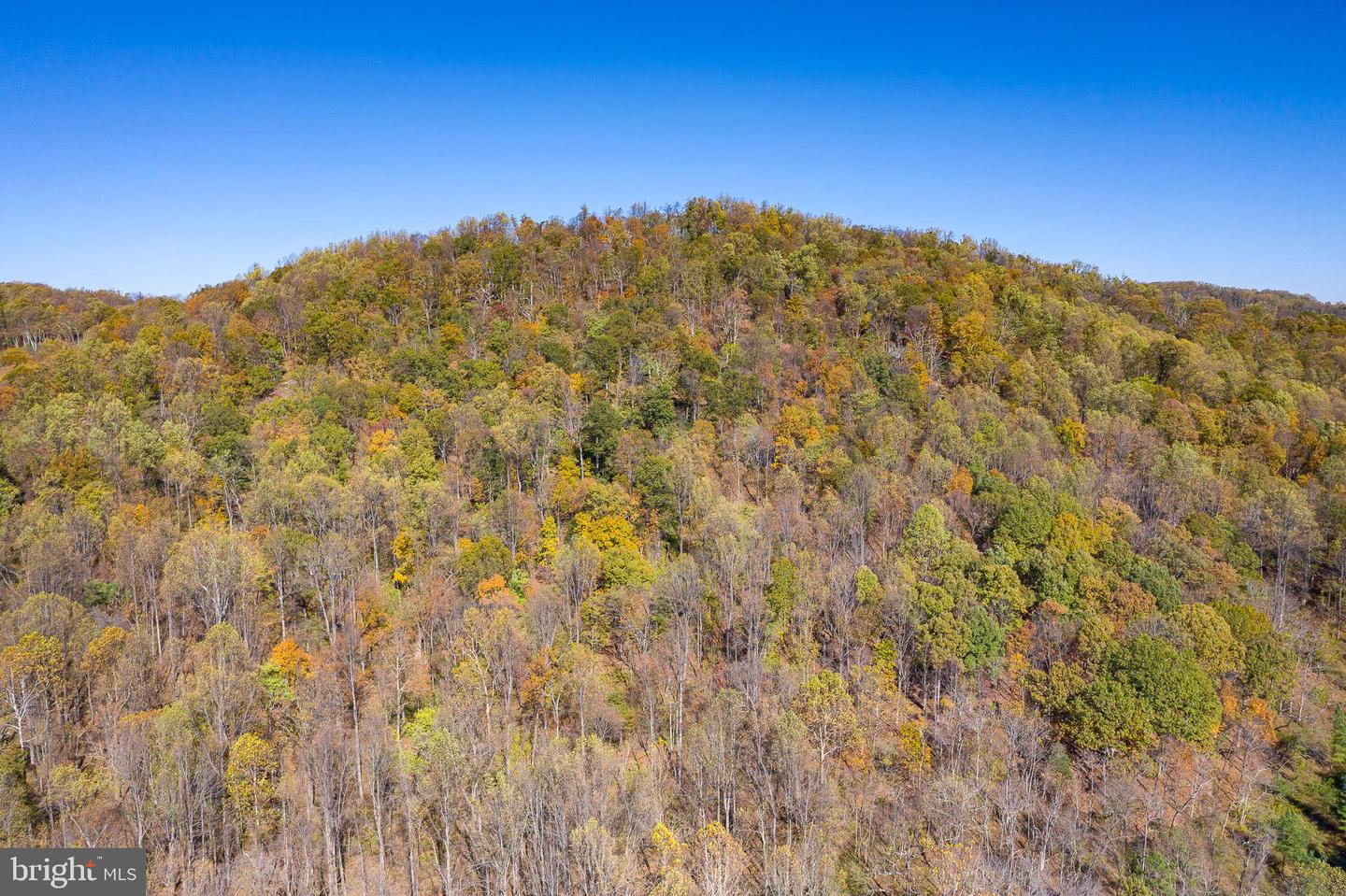 LOT 36 BLANDEMAR DR, CHARLOTTESVILLE, Virginia 22903, ,Land,For sale,LOT 36 BLANDEMAR DR,VAAB2001068 MLS # VAAB2001068