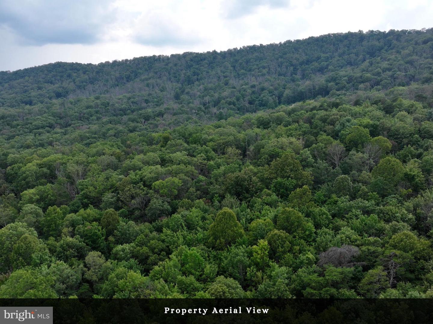 LOT 3 - THREE MILE BANK LN, EDINBURG, Virginia 22824, ,Land,For sale,LOT 3 - THREE MILE BANK LN,VASH2012216 MLS # VASH2012216