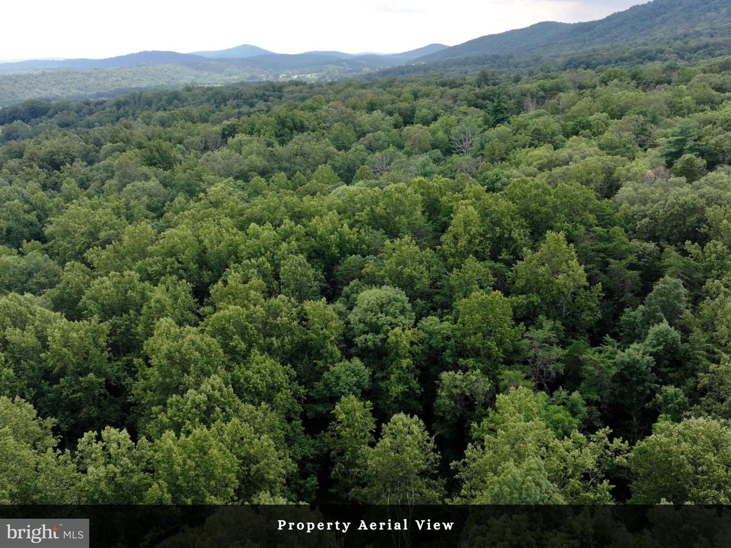LOT 3 - THREE MILE BANK LN, EDINBURG, Virginia 22824, ,Land,For sale,LOT 3 - THREE MILE BANK LN,VASH2012216 MLS # VASH2012216