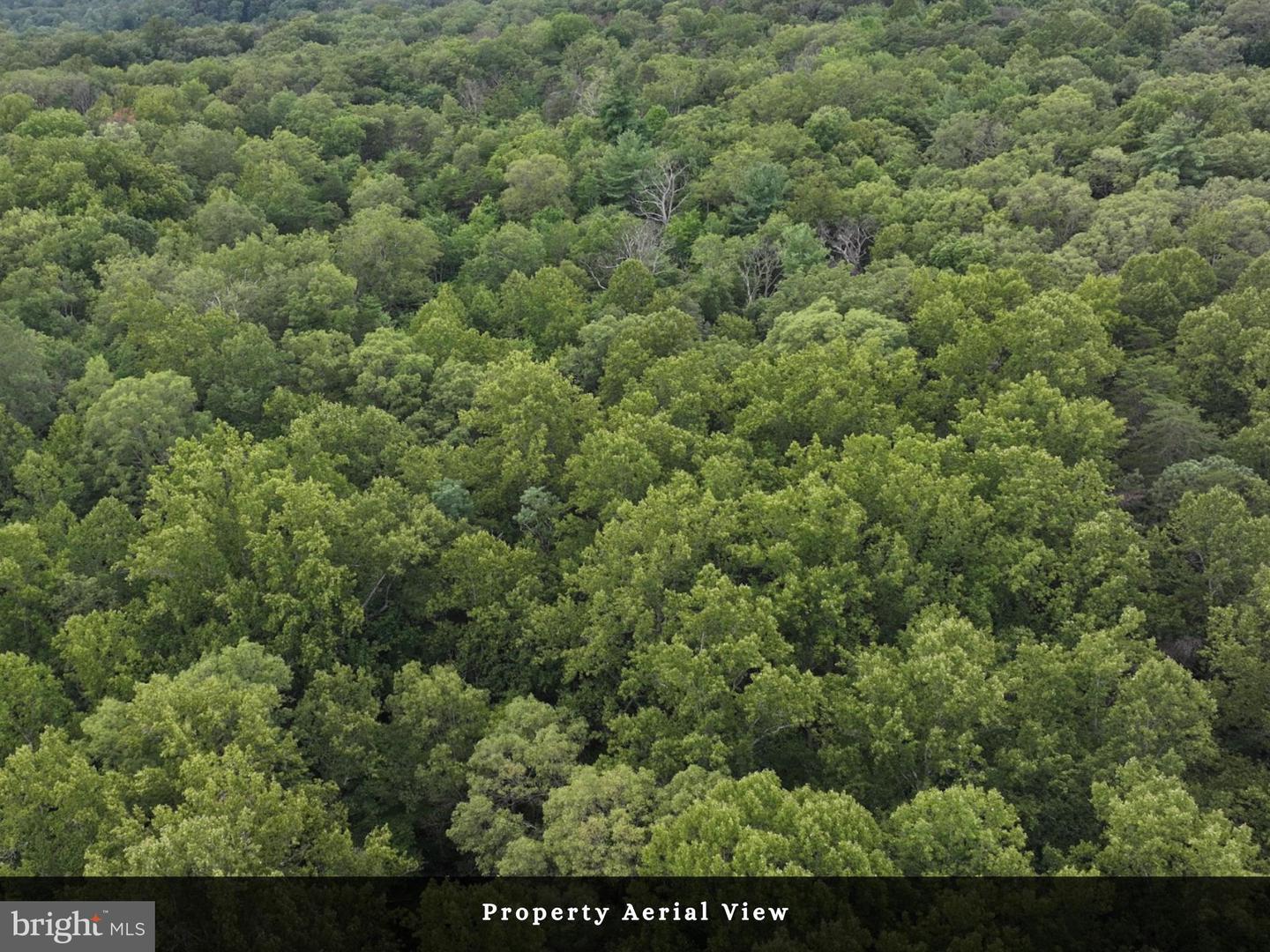 LOT 3 - THREE MILE BANK LN, EDINBURG, Virginia 22824, ,Land,For sale,LOT 3 - THREE MILE BANK LN,VASH2012216 MLS # VASH2012216