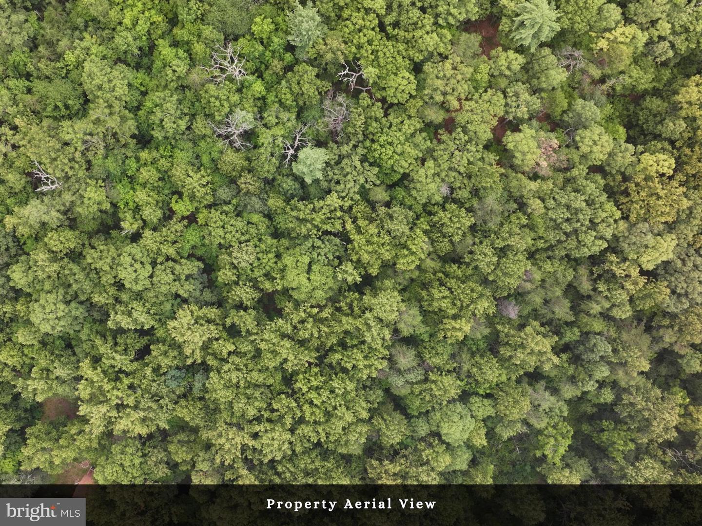LOT 3 - THREE MILE BANK LN, EDINBURG, Virginia 22824, ,Land,For sale,LOT 3 - THREE MILE BANK LN,VASH2012216 MLS # VASH2012216