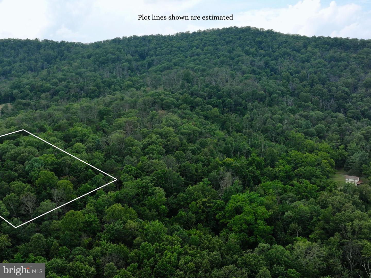 LOT 3 - THREE MILE BANK LN, EDINBURG, Virginia 22824, ,Land,For sale,LOT 3 - THREE MILE BANK LN,VASH2012216 MLS # VASH2012216