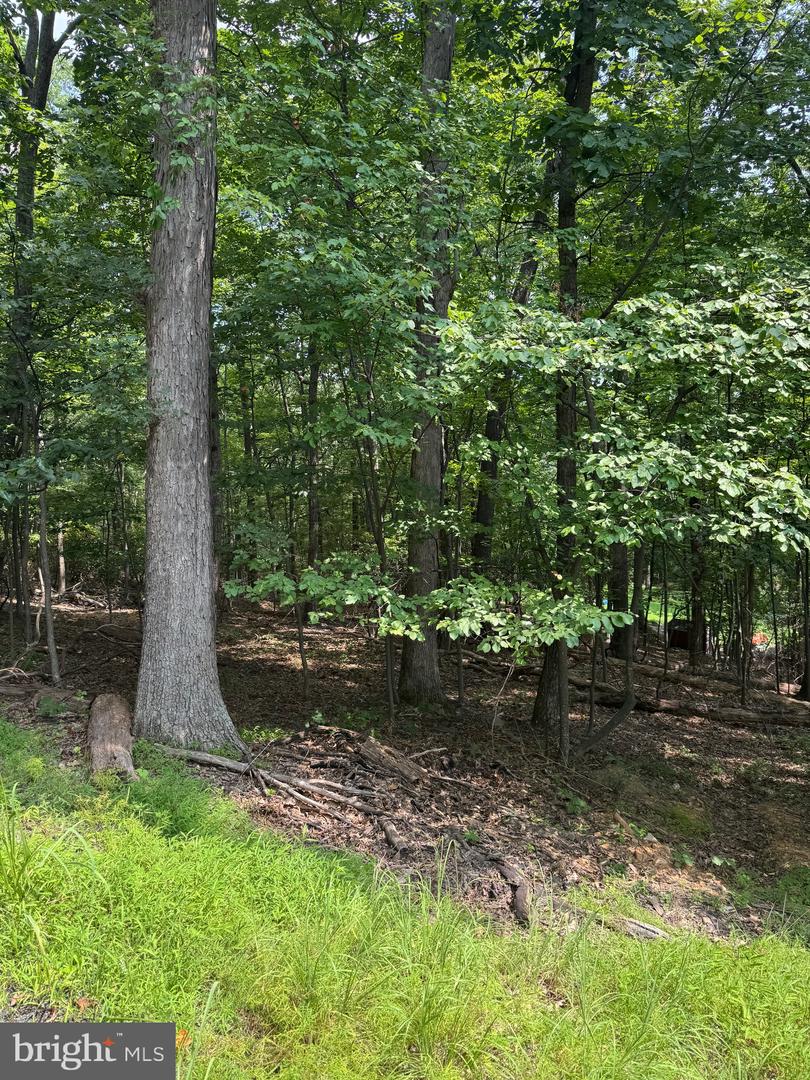 1832 RIDGE RD, HAYMARKET, Virginia 20169, ,Land,For sale,1832 RIDGE RD,VAPW2101516 MLS # VAPW2101516