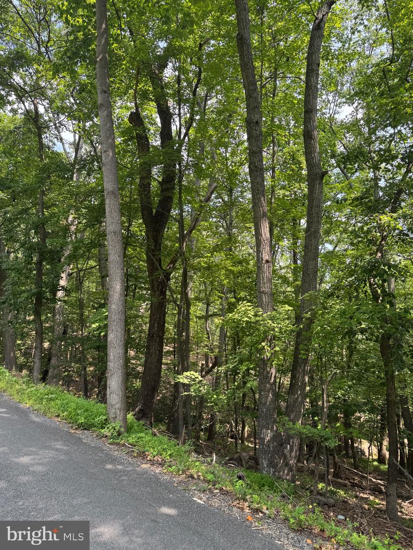 1832 RIDGE RD, HAYMARKET, Virginia 20169, ,Land,For sale,1832 RIDGE RD,VAPW2101516 MLS # VAPW2101516