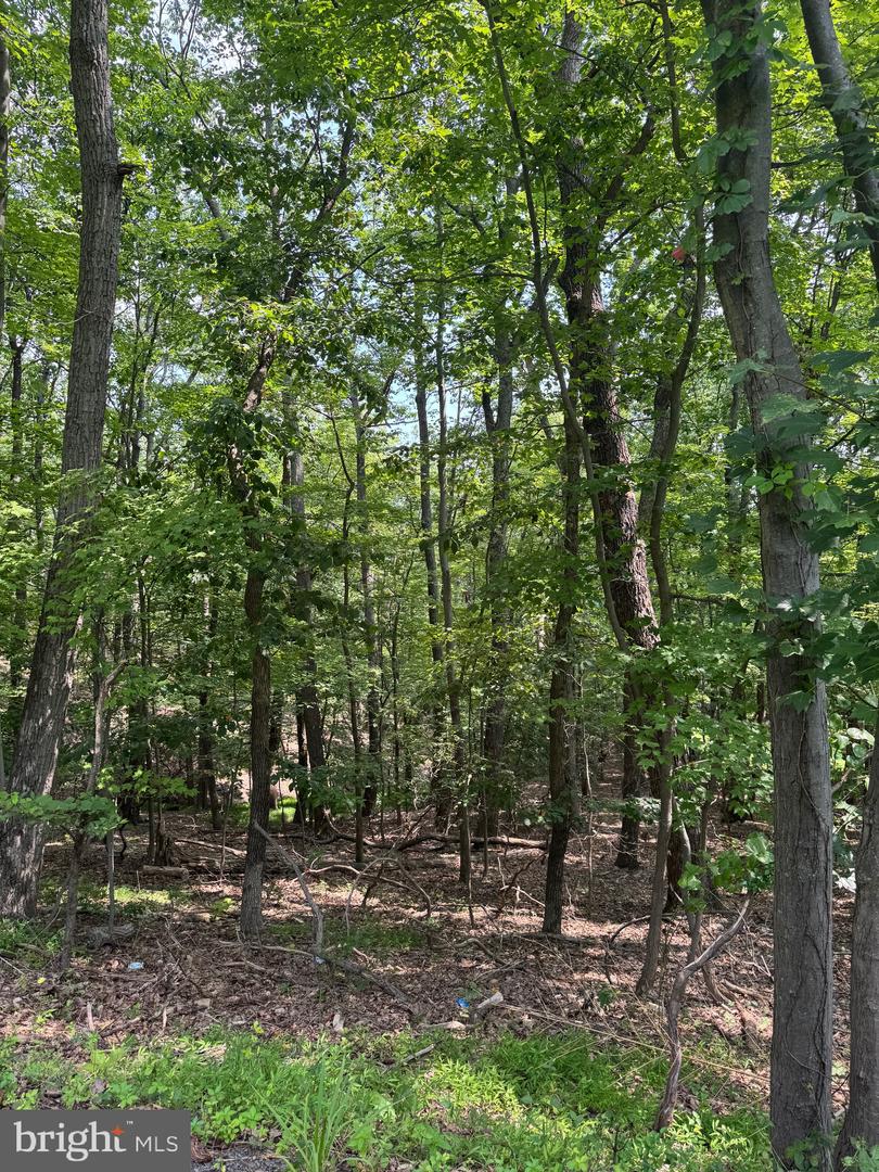 1832 RIDGE RD, HAYMARKET, Virginia 20169, ,Land,For sale,1832 RIDGE RD,VAPW2101516 MLS # VAPW2101516