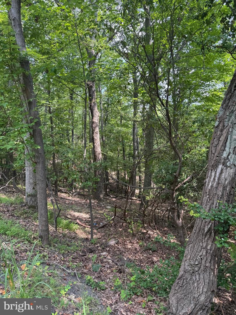 1832 RIDGE RD, HAYMARKET, Virginia 20169, ,Land,For sale,1832 RIDGE RD,VAPW2101516 MLS # VAPW2101516