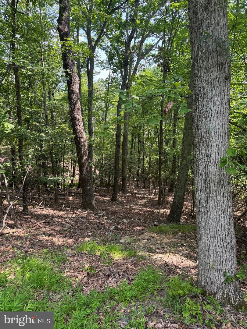1832 RIDGE RD, HAYMARKET, Virginia 20169, ,Land,For sale,1832 RIDGE RD,VAPW2101516 MLS # VAPW2101516
