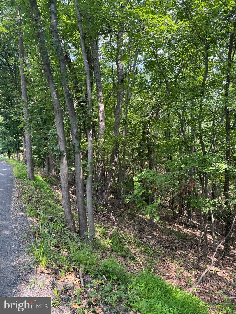 1832 RIDGE RD, HAYMARKET, Virginia 20169, ,Land,For sale,1832 RIDGE RD,VAPW2101516 MLS # VAPW2101516