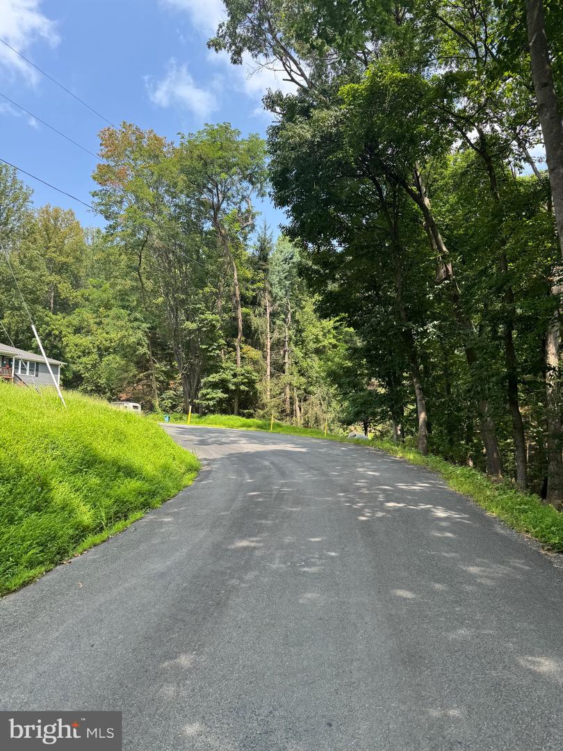 1832 RIDGE RD, HAYMARKET, Virginia 20169, ,Land,For sale,1832 RIDGE RD,VAPW2101516 MLS # VAPW2101516