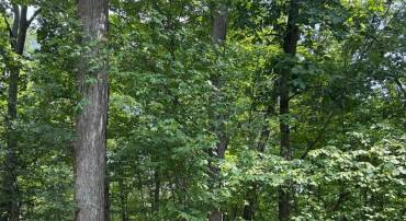 1832 RIDGE RD, HAYMARKET, Virginia 20169, ,Land,For sale,1832 RIDGE RD,VAPW2101516 MLS # VAPW2101516