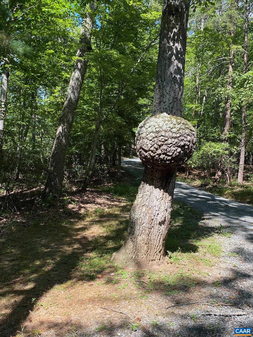 TBD LAUREL COVE RD, CHARLOTTESVILLE, Virginia 22911, ,Land,For sale,TBD LAUREL COVE RD,667872 MLS # 667872