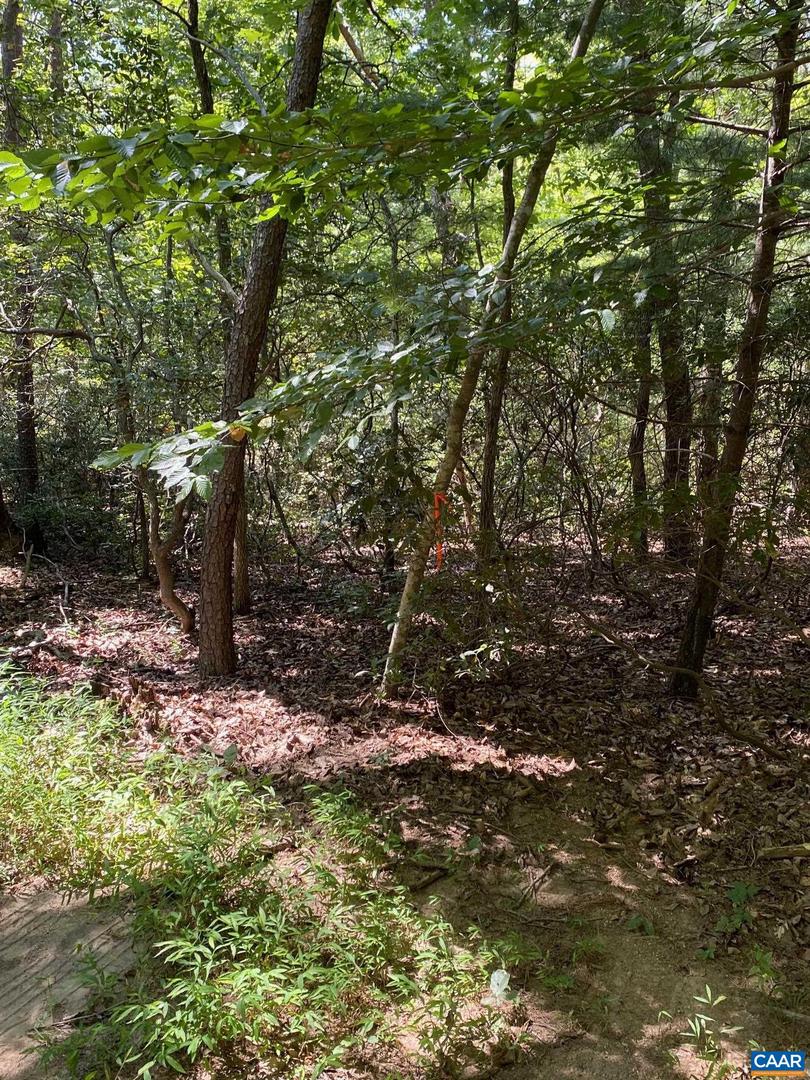 TBD LAUREL COVE RD, CHARLOTTESVILLE, Virginia 22911, ,Land,For sale,TBD LAUREL COVE RD,667872 MLS # 667872