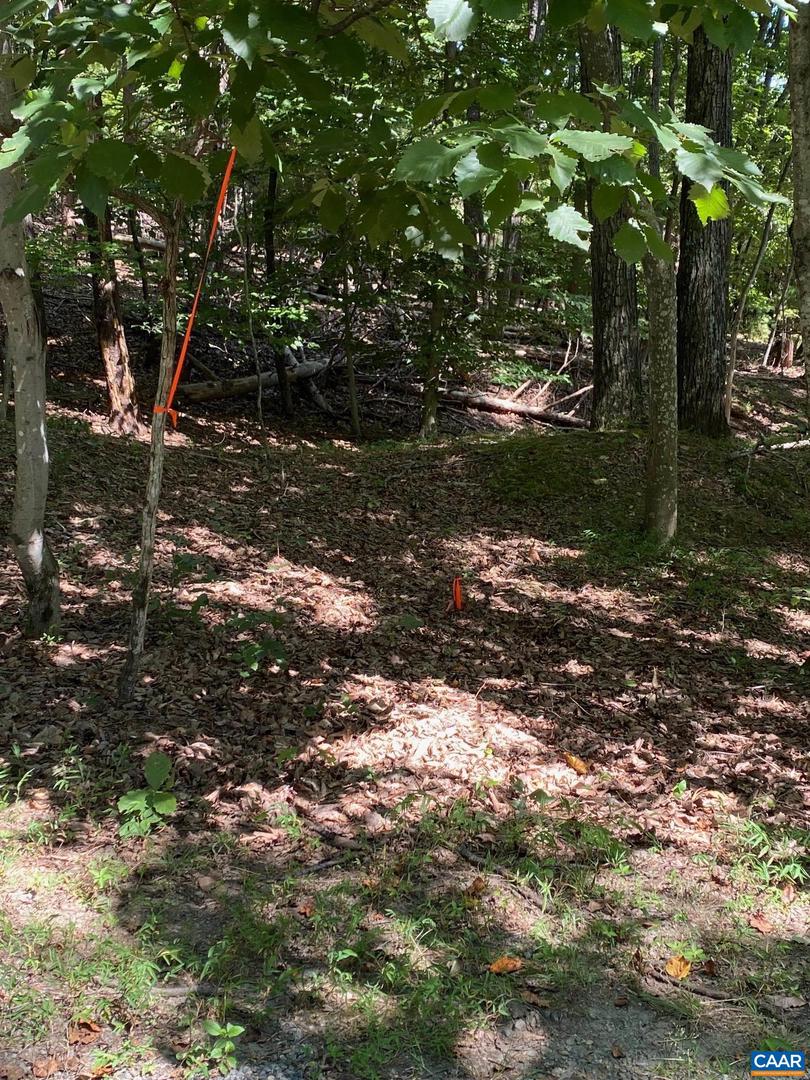 TBD LAUREL COVE RD, CHARLOTTESVILLE, Virginia 22911, ,Land,For sale,TBD LAUREL COVE RD,667872 MLS # 667872
