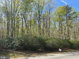 LOT 16 PINE HARBOUR DRIVE, MINERAL, Virginia 23117, ,Land,For sale,LOT 16 PINE HARBOUR DRIVE,VALA2008432 MLS # VALA2008432