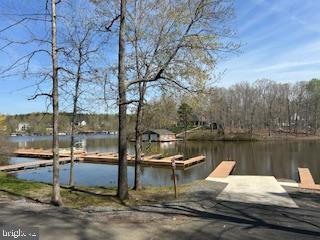 LOT 16 PINE HARBOUR DRIVE, MINERAL, Virginia 23117, ,Land,For sale,LOT 16 PINE HARBOUR DRIVE,VALA2008432 MLS # VALA2008432