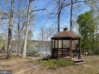 LOT 16 PINE HARBOUR DRIVE, MINERAL, Virginia 23117, ,Land,For sale,LOT 16 PINE HARBOUR DRIVE,VALA2008432 MLS # VALA2008432