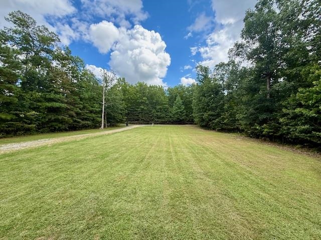 380 KAOLIN SPRING LN, GREENVILLE, Virginia 24440, 3 Bedrooms Bedrooms, ,2 BathroomsBathrooms,Residential,380 KAOLIN SPRING LN,667871 MLS # 667871