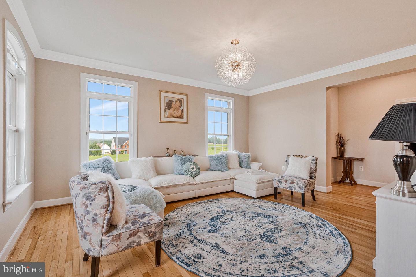 42131 PANORAMA, LEESBURG, Virginia 20176, 5 Bedrooms Bedrooms, ,6 BathroomsBathrooms,Residential,For sale,42131 PANORAMA,VALO2104090 MLS # VALO2104090