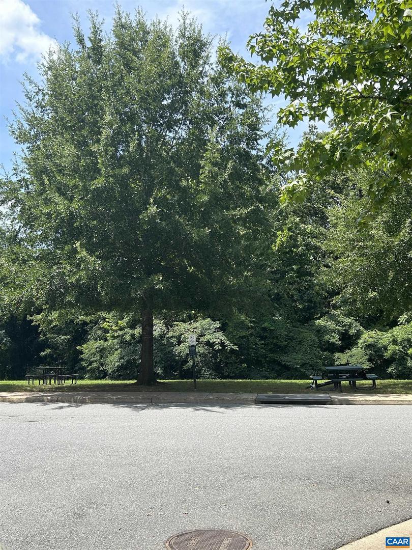 924 RAINIER RD, CHARLOTTESVILLE, Virginia 22903, 4 Bedrooms Bedrooms, ,3 BathroomsBathrooms,Residential,For sale,924 RAINIER RD,667873 MLS # 667873