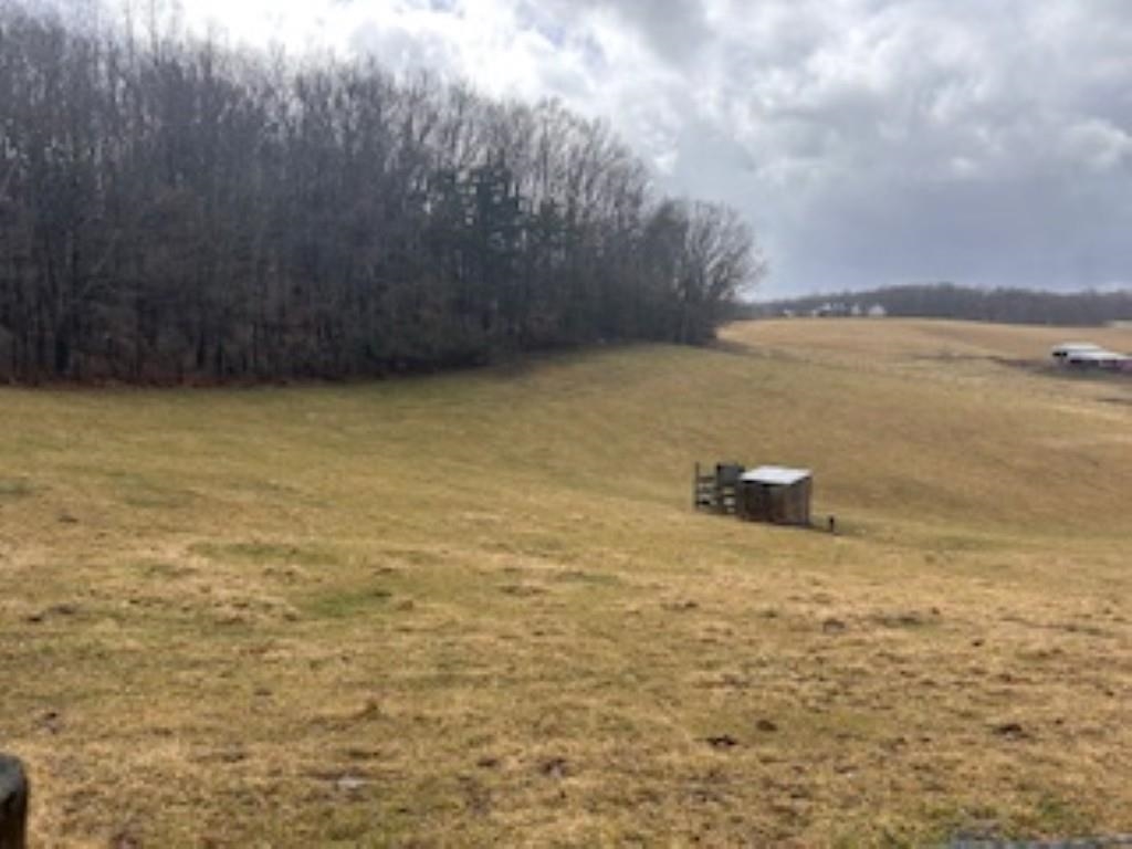 0 VINEGAR HILL RD, CHURCHVILLE, Virginia 24421, ,Land,0 VINEGAR HILL RD,660683 MLS # 660683