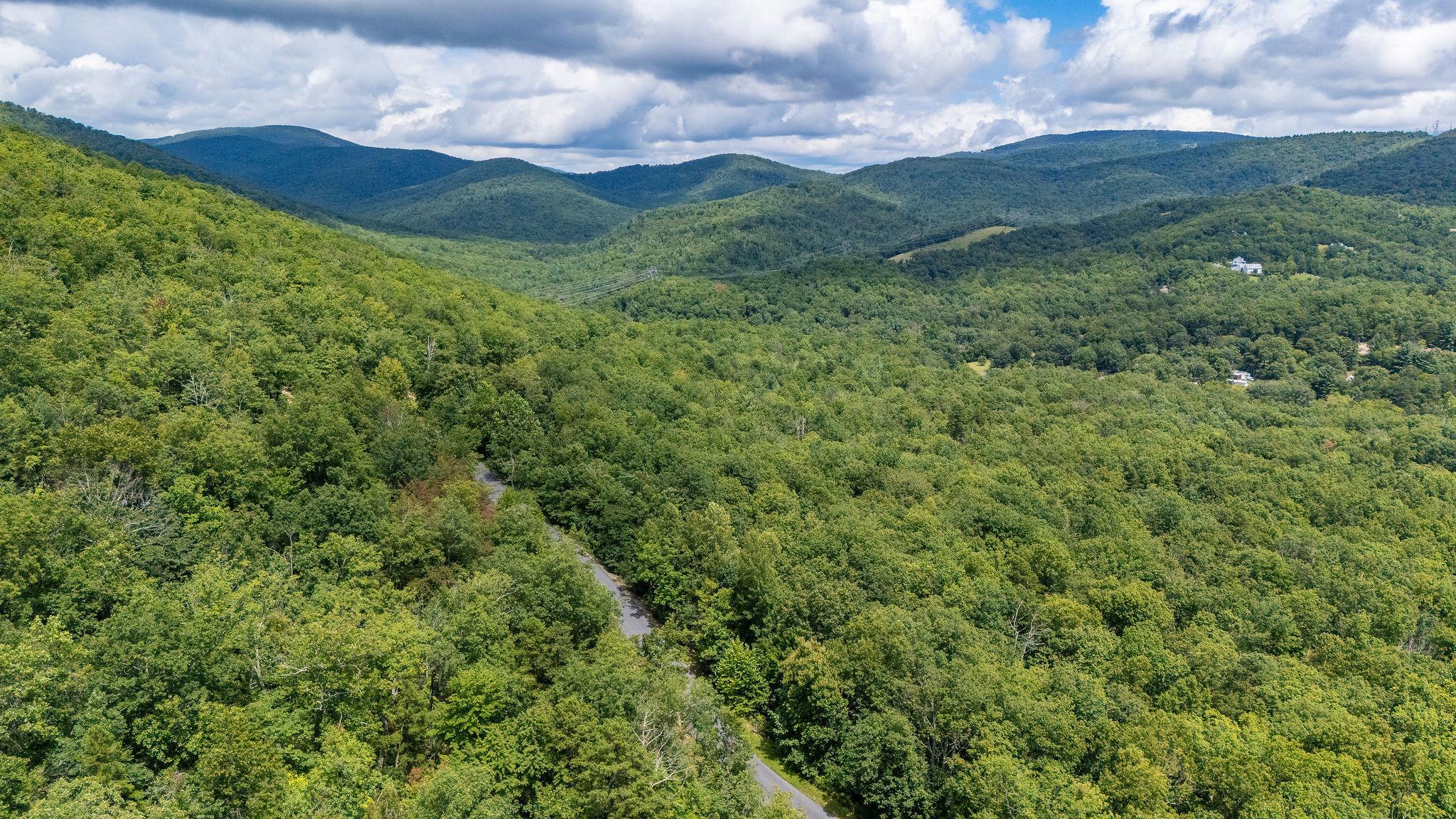 TBD FOX RUN LN, WAYNESBORO, Virginia 22980, ,Land,TBD FOX RUN LN,667893 MLS # 667893