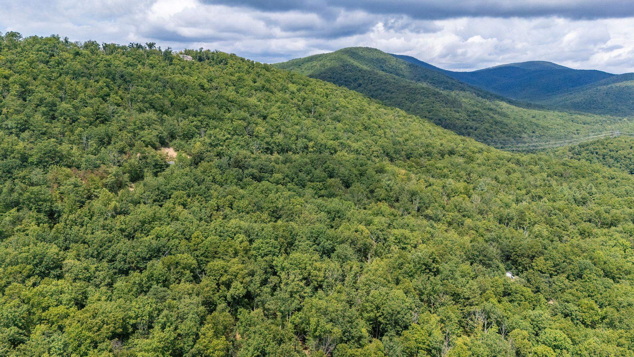 TBD FOX RUN LN, WAYNESBORO, Virginia 22980, ,Land,TBD FOX RUN LN,667893 MLS # 667893