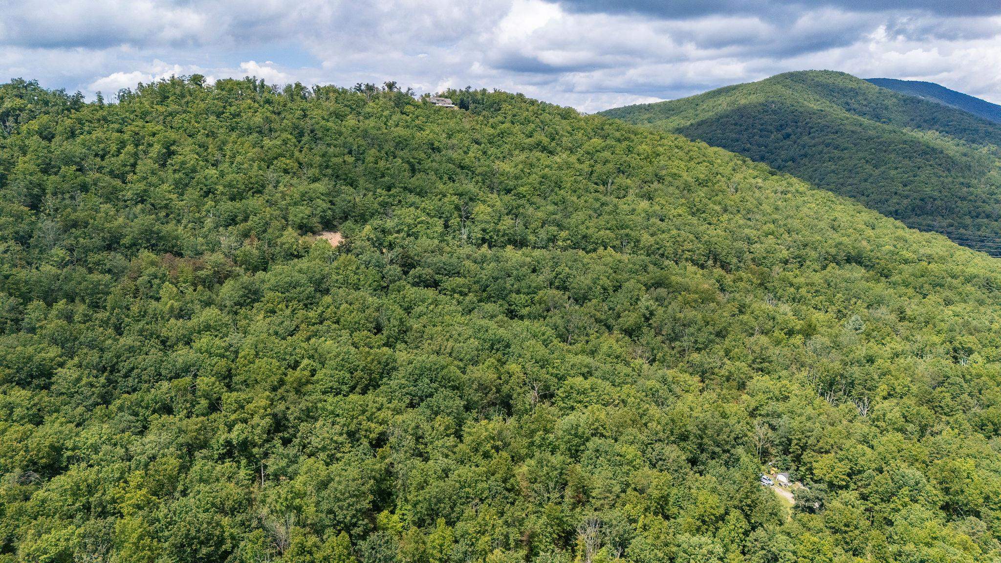 TBD FOX RUN LN, WAYNESBORO, Virginia 22980, ,Land,TBD FOX RUN LN,667893 MLS # 667893